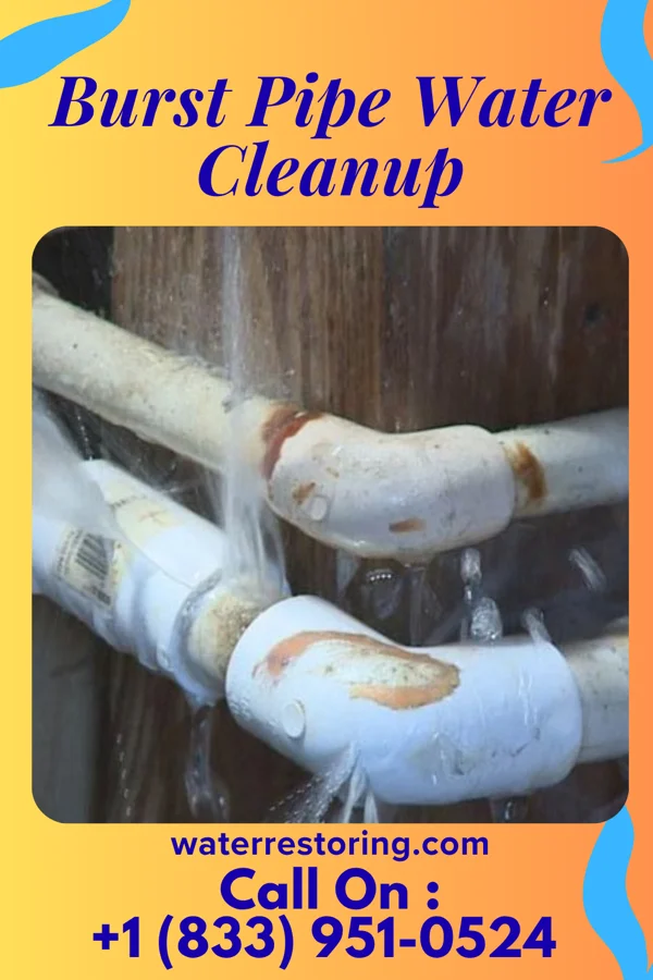 Burst Pipe Water Cleanup in Corning, AR