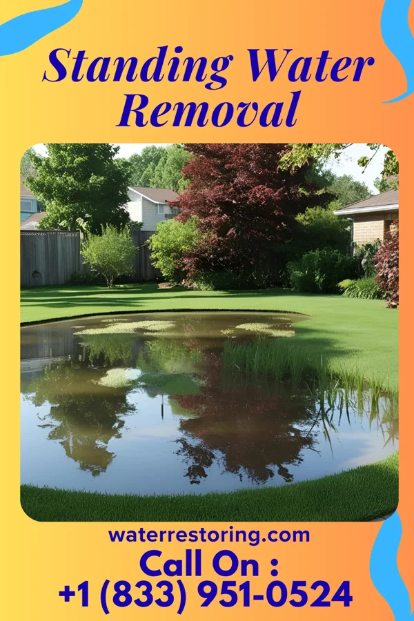 Standing Water Removal in Corning, AR